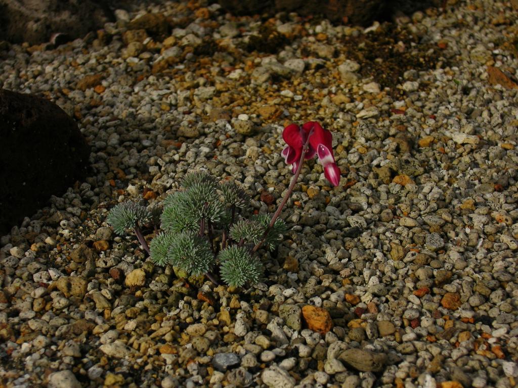 ホテル 七倉荘 大町市 エクステリア 写真
